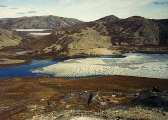 Spring reaches the fjord